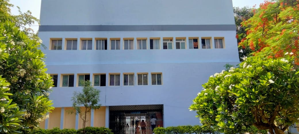 The school building seen through flowering trees