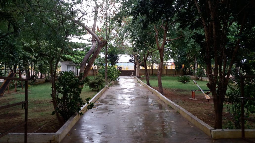 A tree-lined walkway inside the campus