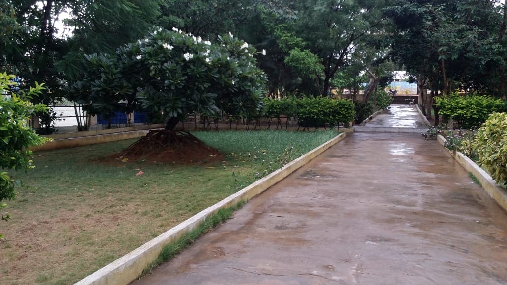 A garden and pathway on the school campus